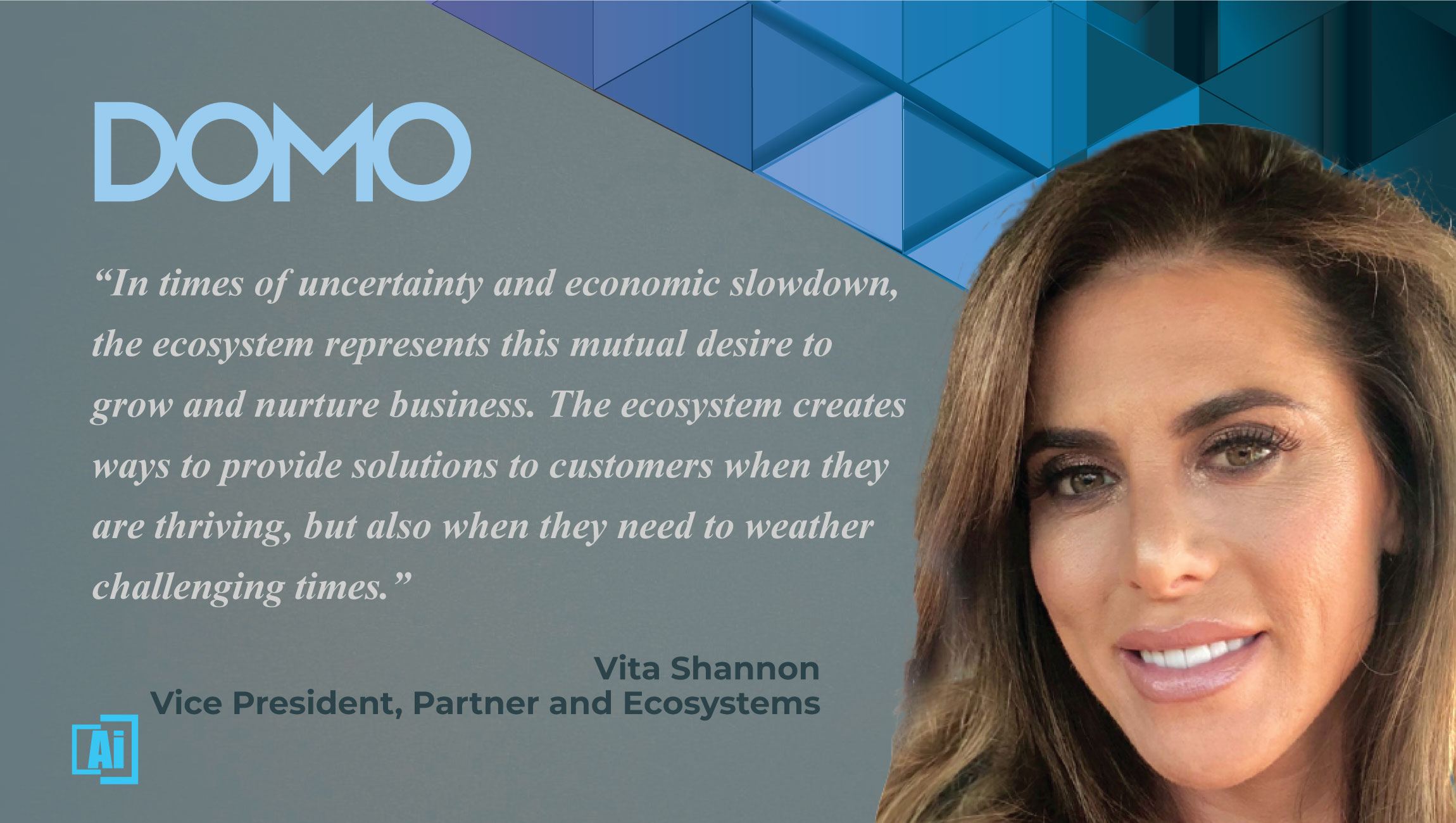 AiThority Interview with Vita Shannon, VP, Partner and Ecosystems at Domo